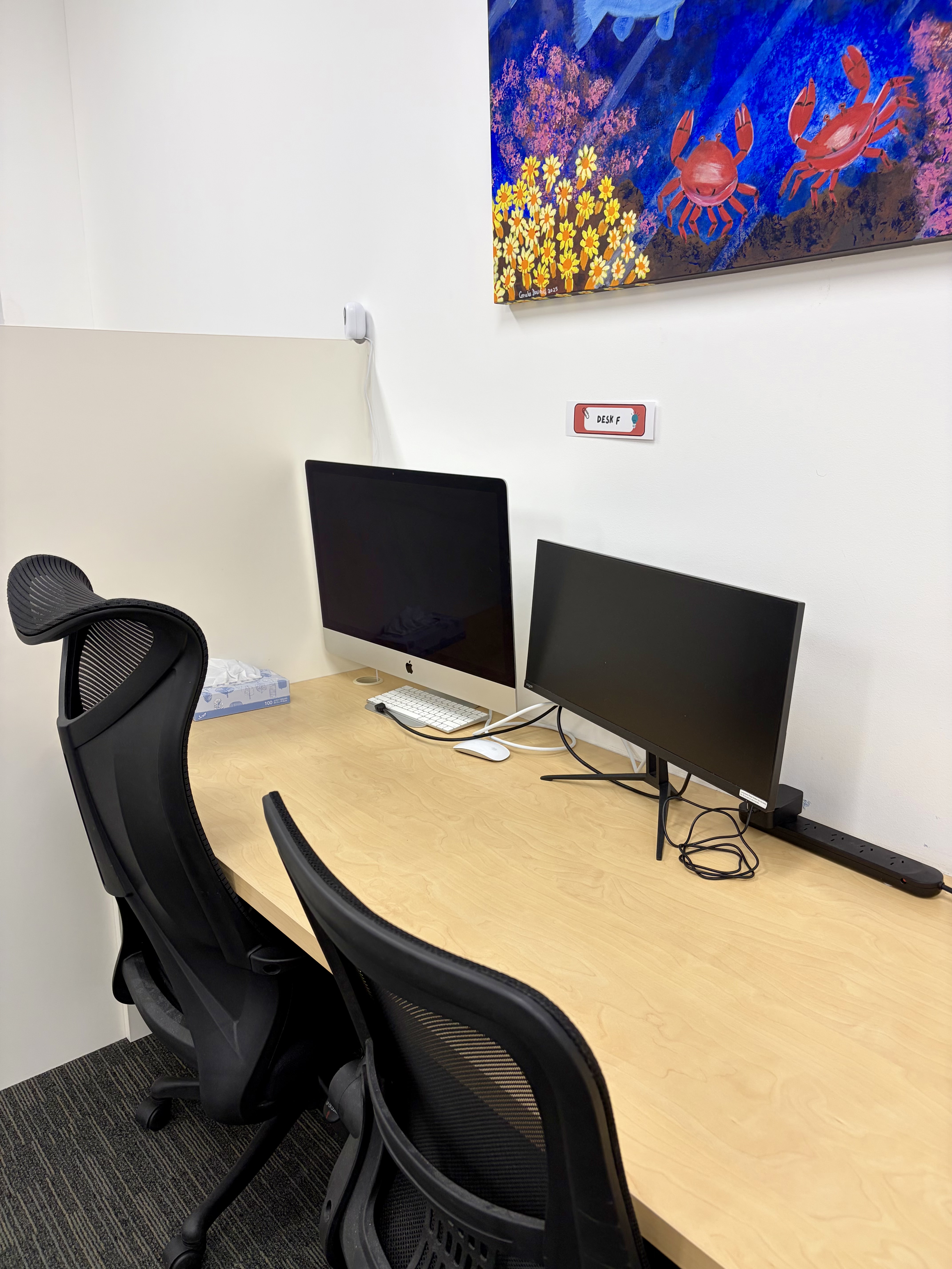Professional hot desk workspace in Forestville, Sydney — Northern Beaches Coworking
